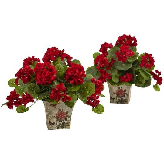 11" Geranium in Floral Planter, 2ct.